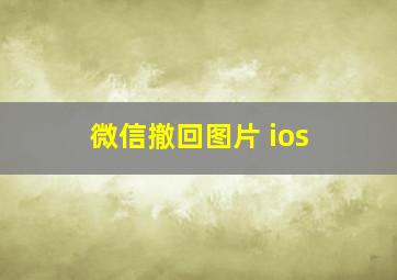 微信撤回图片 ios